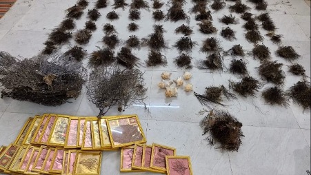 DRI SEIZES ILLEGAL WILDLIFE ARTICLES APPREHENDS THREE PERSONS IN ANDHRA PRADESH DRI SEIZES ILLEGAL WILDLIFE ARTICLES APPREHENDS THREE PERSONS IN ANDHRA PRADESH