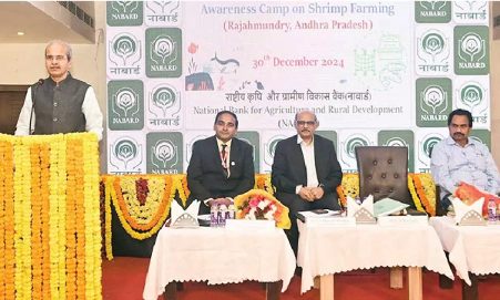 NABARD EMERGES AS A PILLAR OF SUPPORT FOR SHRIMP FARMING IN ANDHRA PRADESH NABARD EMERGES AS A PILLAR OF SUPPORT FOR SHRIMP FARMING IN ANDHRA PRADESH