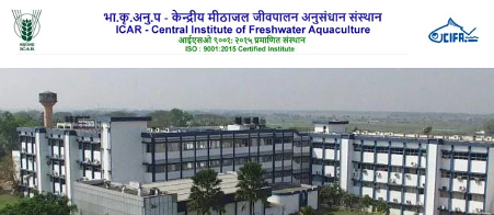 WALK IN INTERVIEW FOR YOUNG PROFESSIONAL I AT ICAR CIFA BHUBANESWAR WALK IN INTERVIEW FOR YOUNG PROFESSIONAL I AT ICAR CIFA BHUBANESWAR