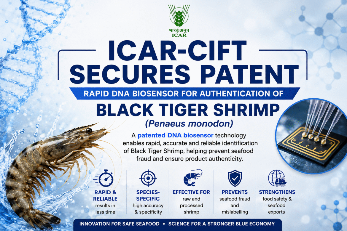ICAR-CIFT scientists developed a rapid DNA biosensor for authenticating Black Tiger Shrimp (Penaeus monodon).